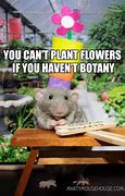 Image result for Cutie Flowers for Uhh Meme