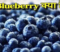 Image result for Hindi Fruits Chart