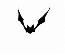 Image result for Bat Window Stickers