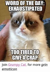 Image result for Tired of Work Cats Meme