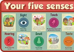 Image result for 5 Senses Meaning