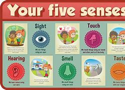 Image result for Appealing to Five Senses