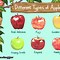 Image result for Styles of Apple's