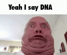 Image result for Memes Jack the DNA of the Soul
