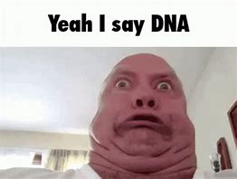 Image result for RNA vs DNA Meme