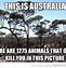 Image result for Aussie Jokes