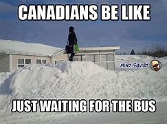 Image result for Canadian Tired Snow Meme