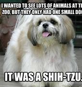 Image result for Shit Funnies Image