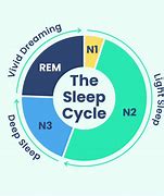 Image result for Stages of Sleep Cycle Samsung Fit2