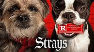 Image result for Strays Movie Plot