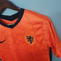 Image result for Netherlands National Team Jersey