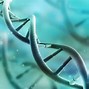 Image result for DNA Double Helix Drawing