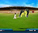 Image result for Wicket Screen