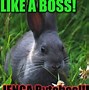 Image result for You Are a Boss Meme