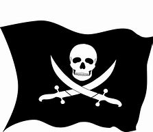 Image result for Pirate Logo with Indian Flag