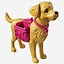 Image result for Taffy Toss Dog Toy