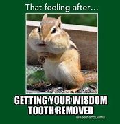 Image result for Missing Tooth Meme