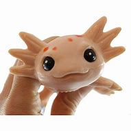 Image result for Sea Animal Bath Toys Rubber Fish