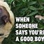Image result for Fun Kelpies Puppy and Tabby Cat Meme