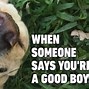 Image result for silly dogs meme