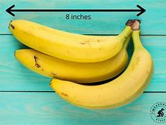 Image result for How Big Is Eight Inches