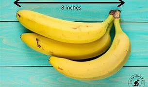 Image result for Things That Are 8 Inches Long