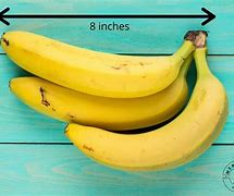 Image result for Things That Are 8 Inches