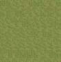 Image result for Grass Texture Plan
