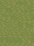 Image result for Desert Grass Texture