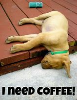 Image result for I Need Coffee Funny