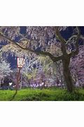 Image result for kyoto japanese