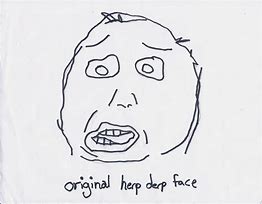 Image result for Herp Derp Face