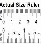 Image result for Actual Size Reference