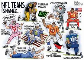 Image result for NFL Playoff Cartoons