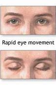 Image result for REM Sleep Eye Movement