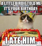 Image result for Grumpy Cat Happy Birthday Bird