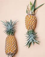 Image result for iPhone SE 2020 Pineapple Case