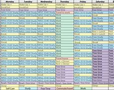 Image result for Audit Schedule Example
