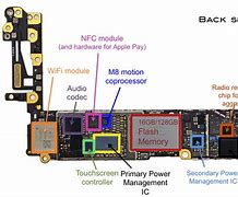 Image result for Back of the iPhone Diagram