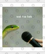 Image result for Snake Heck Meme