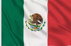 Image result for Mexico National Flag
