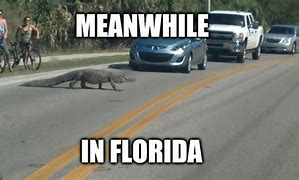 Image result for Meme Meanwhile in Florida