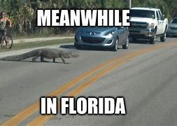 Image result for Meanwhile in Florida Meme