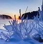 Image result for Free Winter Wallpaper Themes