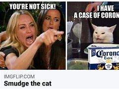 Image result for Cat Arguing Meme Template