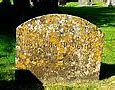 Image result for Lichens On Gravestones
