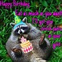 Image result for Funny Raccoon Sayings