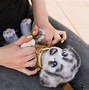 Image result for Realistic Toy Puppies
