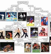 Image result for What Are All the Martial Arts in the World