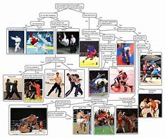 Image result for Most Popular Martial Arts